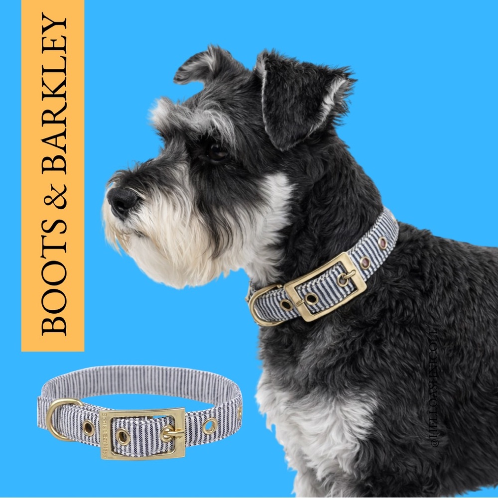 Boots & Barkley™ Striped Fashion Dog Collar with Pin Buckle - S